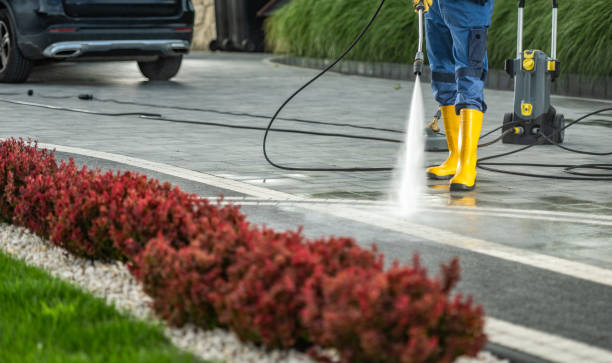 Best Solar Panel Cleaning  in Highlands, CA